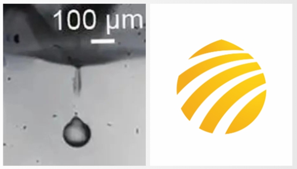 官宣 | PA视讯集团官网官方LOGO全「新」亮相！