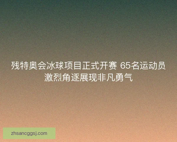 残特奥会冰球项目正式开赛 65名运动员激烈角逐展现非凡勇气