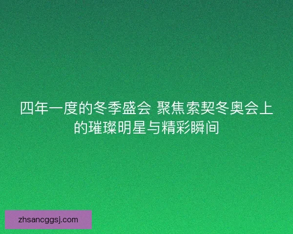四年一度的冬季盛会 聚焦索契冬奥会上的璀璨明星与精彩瞬间